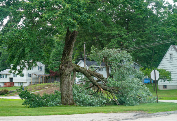 Best Tree Risk Assessment  in Eglin Af, FL